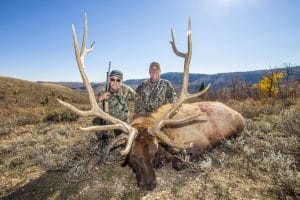 Harlyn and Gene Barnes_Bull elk