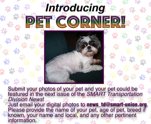 Pet Corner